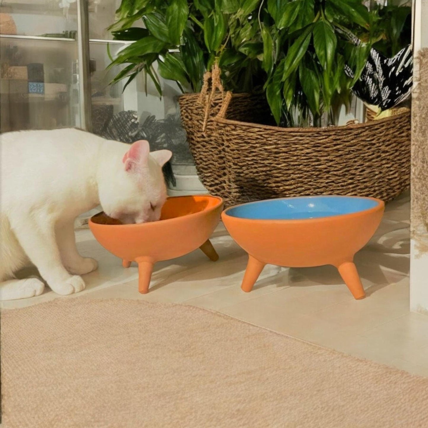 Elevated Ceramic Pet Food Bowls – Ceramic Raised Cat Dishes Set of 2 | Cat Bowls, Cute Modern Kitty Feeder