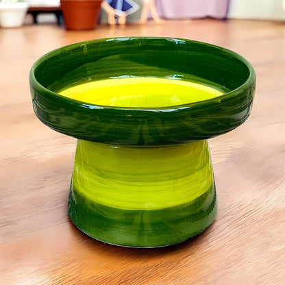 Colorful Elevated Ceramic Cat Bowl – Whisker Friendly Raised Feeder for Cats