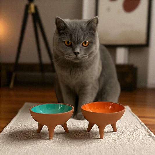 Handmade Elevated Ceramic Pet Bowl: Kitten & Small Dog Food Dish