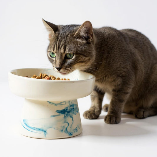 Elevated Blue Ceramic Cat Bowl – Ergonomic Raised Pet Feeder, Handmade Stylish Dish for Cats & Small Dogs