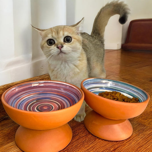 Handmade Ceramic Elevated Cat Bowl: Ergonomic Pet Feeder