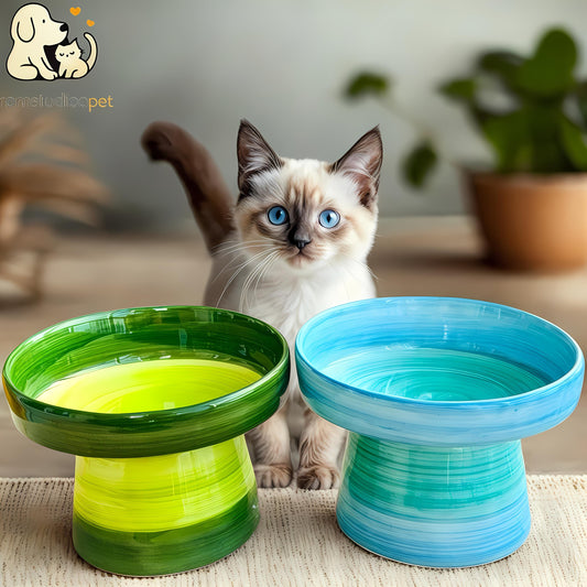 Colorful Elevated Ceramic Cat Bowl – Whisker Friendly Raised Feeder for Cats