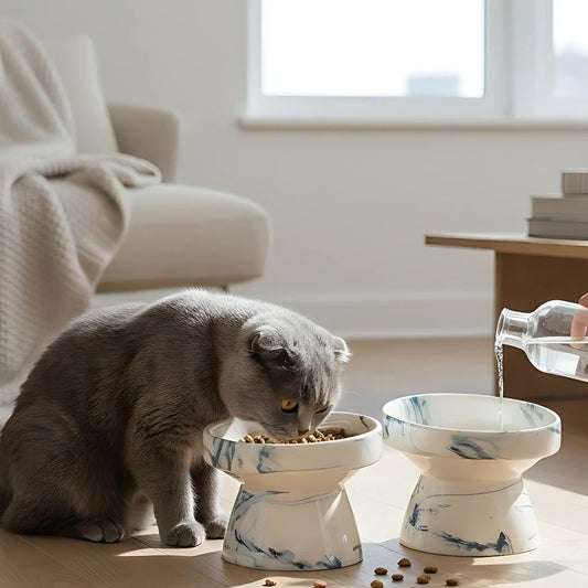 Elevated Ceramic Cat Food and Water Bowl, Anti whisker fatigue cat bowl, Dogs & Puppies - Perfect Pet Owner Gift