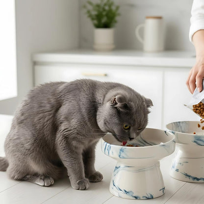 Handmade Elevated Ceramic Pet Food and Water Bowl for Cats, Kittens, Dogs & Puppies - Perfect Pet Owner Gift